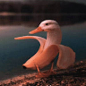 Meet your Posher, Andre